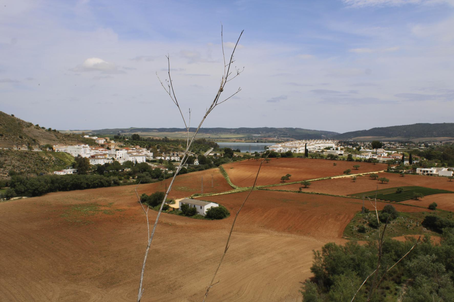 Tierras de cultivo y pantano