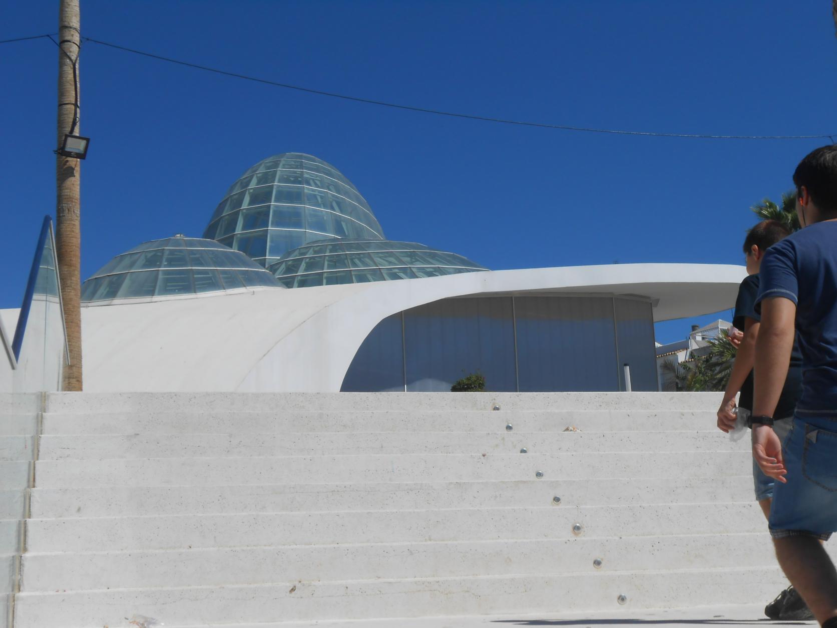 Escalinata de acceso al Orquidario