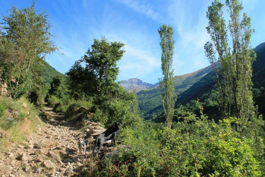 Vista de Ordesa desde Linás de Broto, LINAS DE BROTO (Huesca)