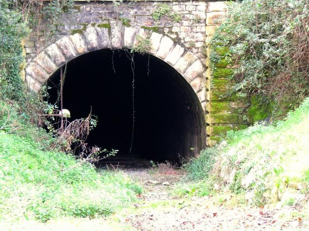 Resultado de imagen para entrada a tunel