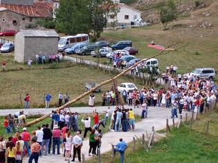 Plantando la jovera 1 por Joanna