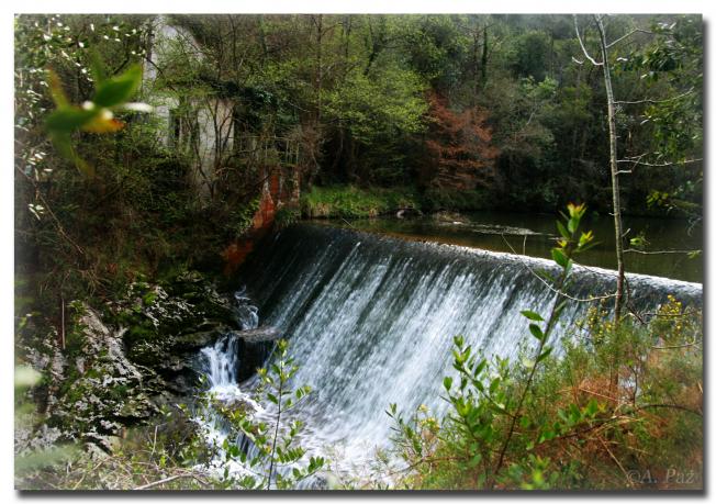 Enmarcado, LA ACEBOSA (Cantabria)