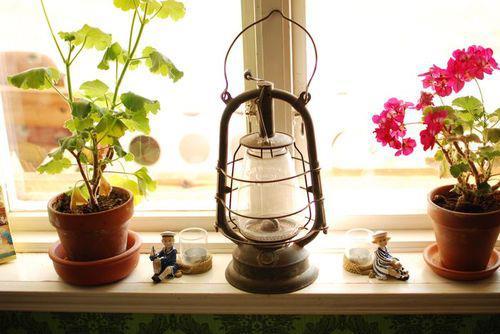 geranios en la ventana, PETRES (Valencia)