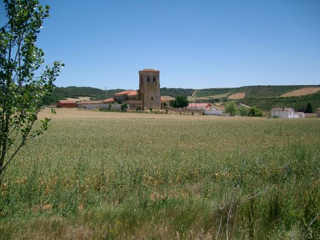 Panorámica de San Quirce, SAN QUIRCE DEL RIO PISUERGA (Palencia)