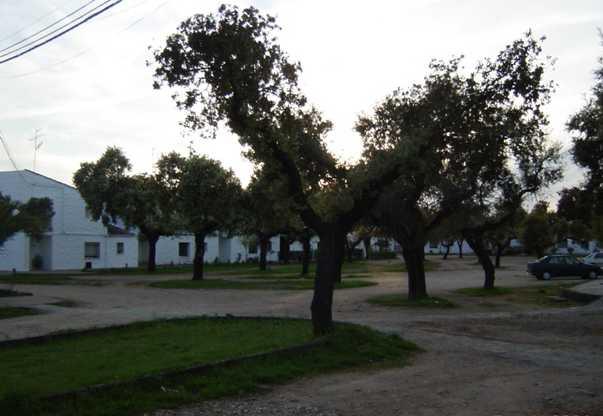 PLAZA DE LA ISLA, VEGAVIANA (Cáceres)