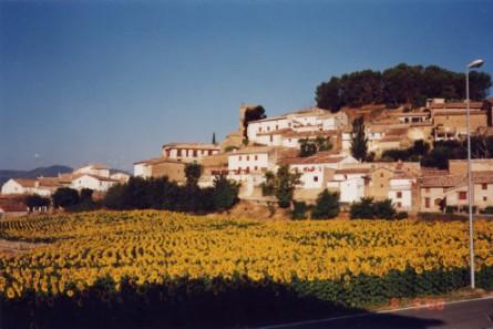 Vista, ESLAVA (Navarra)