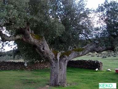 Donde fuimos el Lunes de Aguas