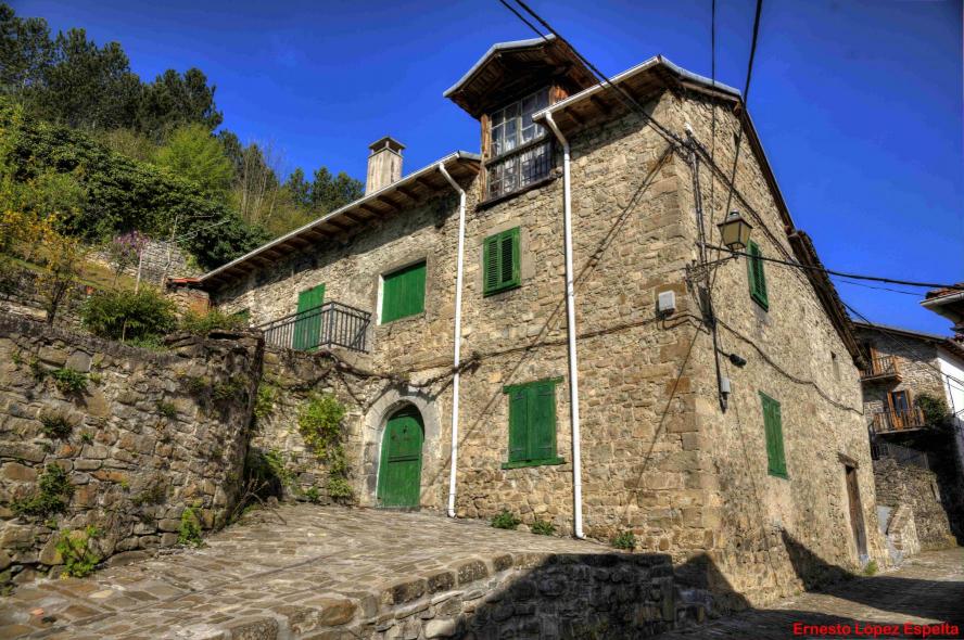 Carpinteria en verde, RONCAL (Navarra)