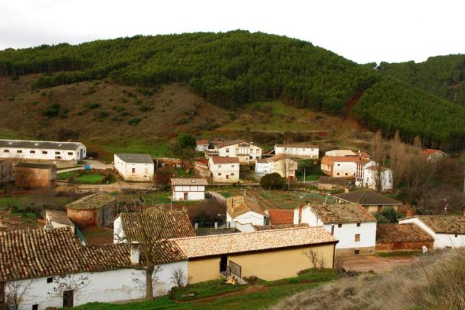 Monte y pinar del entorno, MUES (Navarra)