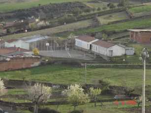 Las Escuelas Mistas 1972