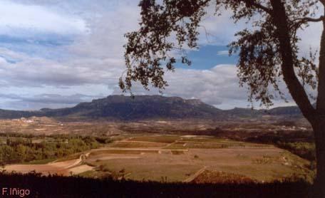 Panoramica desde Briones-