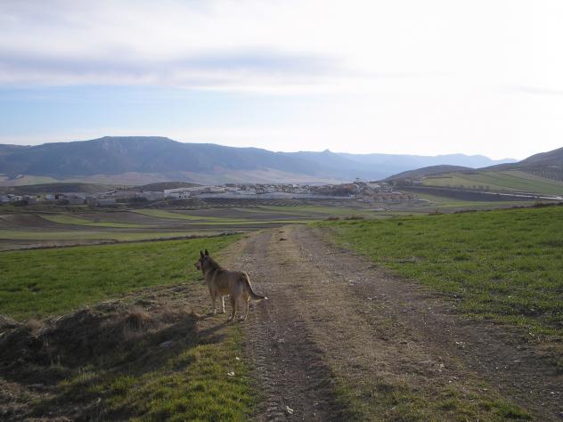 Alrededores de Moreda, MOREDA (Granada)