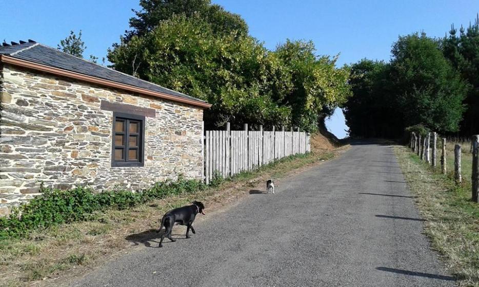 Parece que pesa la cuesta, y el calor, TEIJEIRA (Asturias)