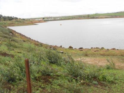 Nueva vista del panrtano