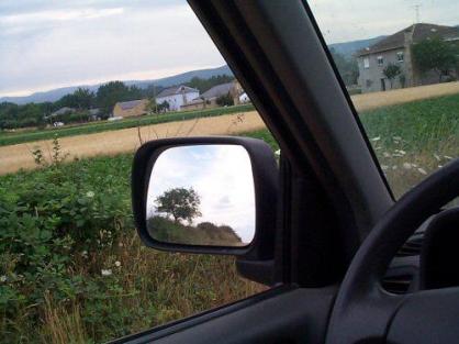 Arbol en retrovisor