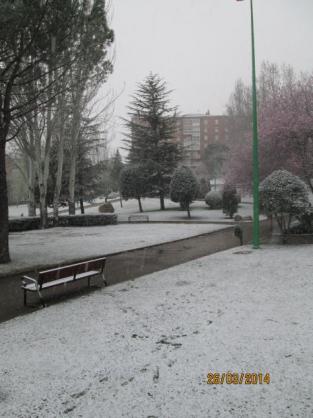 Nevando