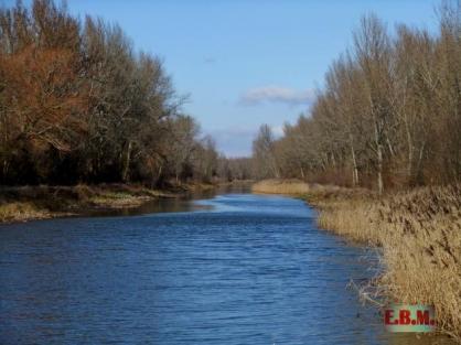 Canal de Castilla en Naveros de Pisuerga