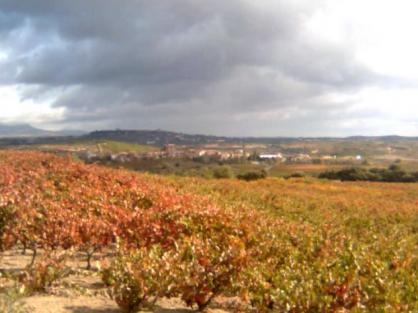 Navaridas desde el encinar