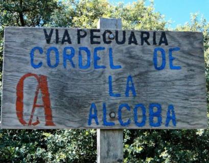 Señalización del cordel en la dehesa boyal